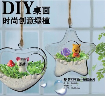 小花农梦幻水晶微景观生态瓶吊挂玻璃瓶创意DIY桌面绿植多肉植物